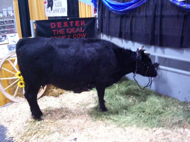 Aristocrat reveals the launch of its traditional three-reel slot machine game titled Buffalo...